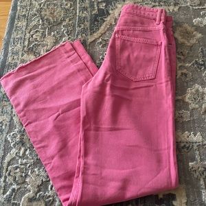 Zara Pink Denim Pants